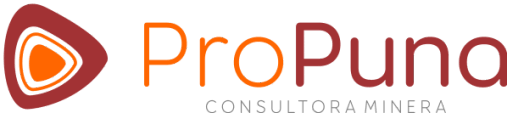 Propuna | Consultora Minera